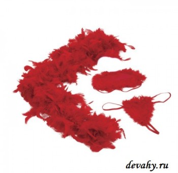 Секс шоп (интим магазин) Замечательный любовный Набор Amour Hollywood Housewife Kit