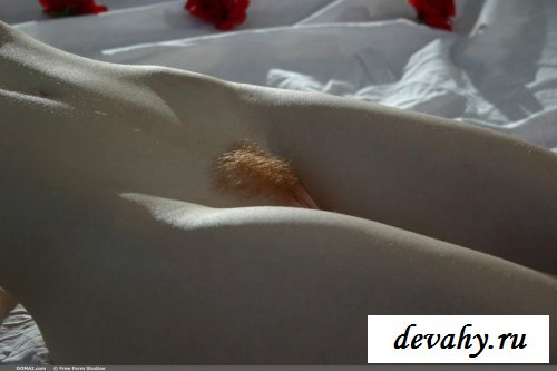 Молоденькие рыжие телочки