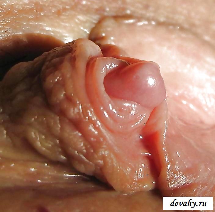 Обнаженные половые органы хорошеньких потаскух